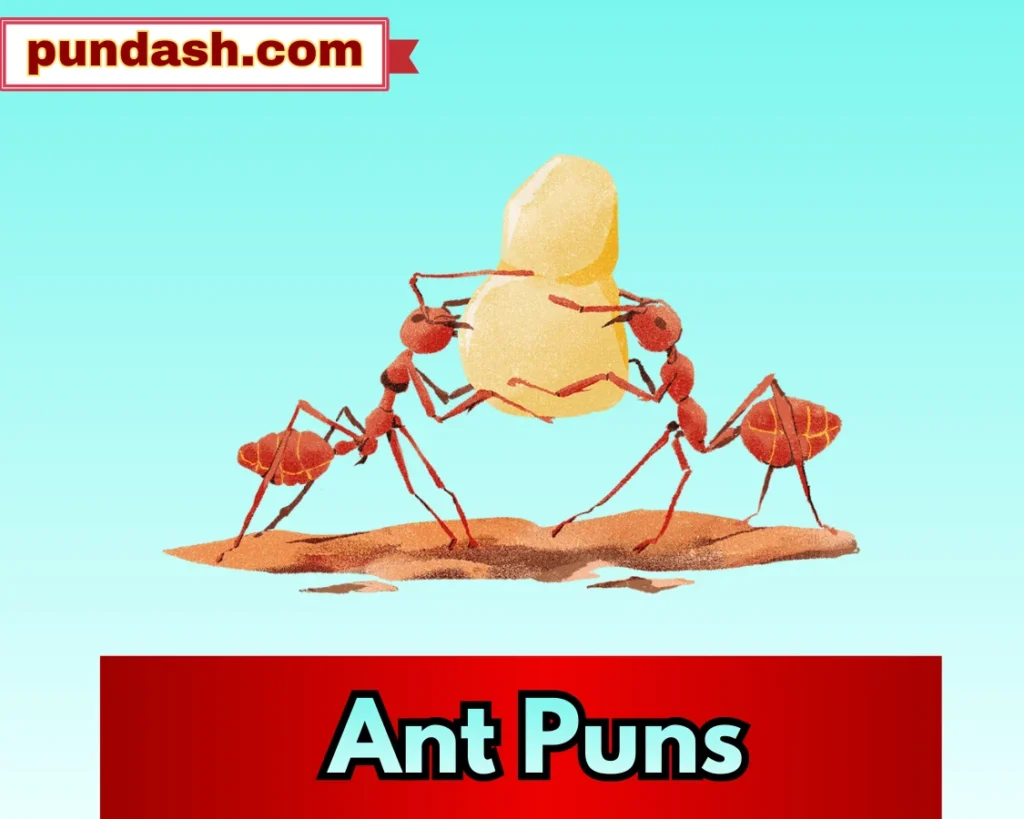 Ant Puns
