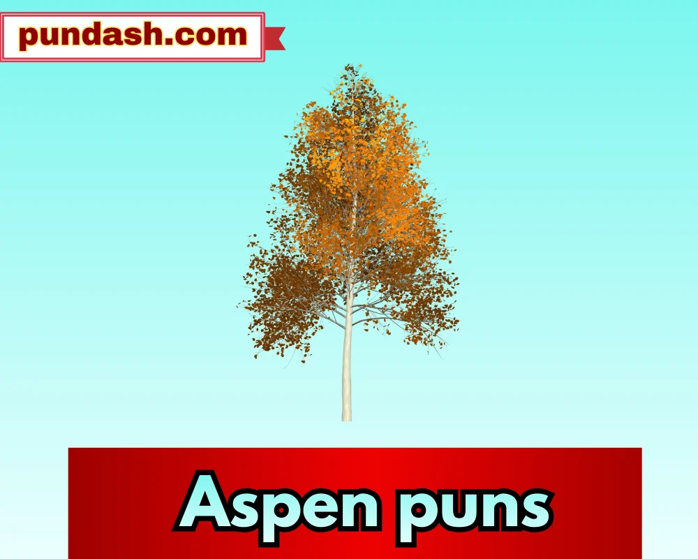 Aspen puns