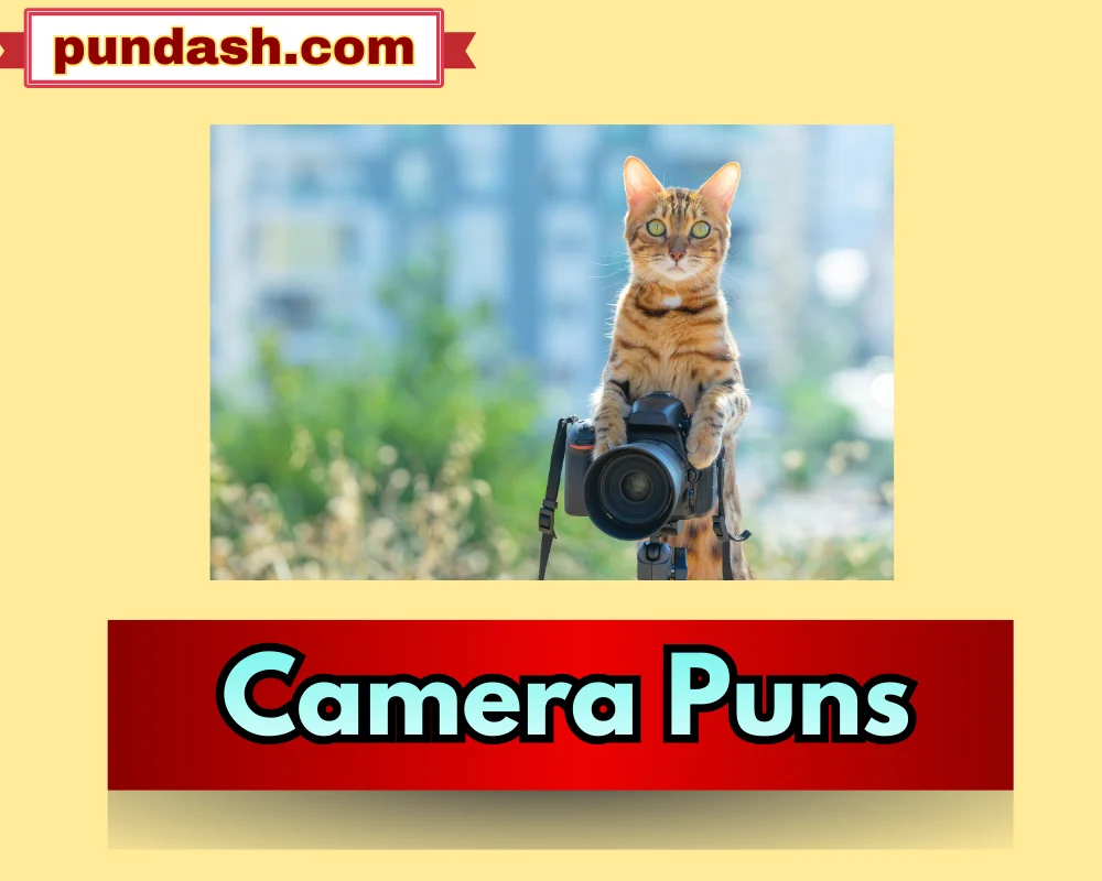 Camera Puns