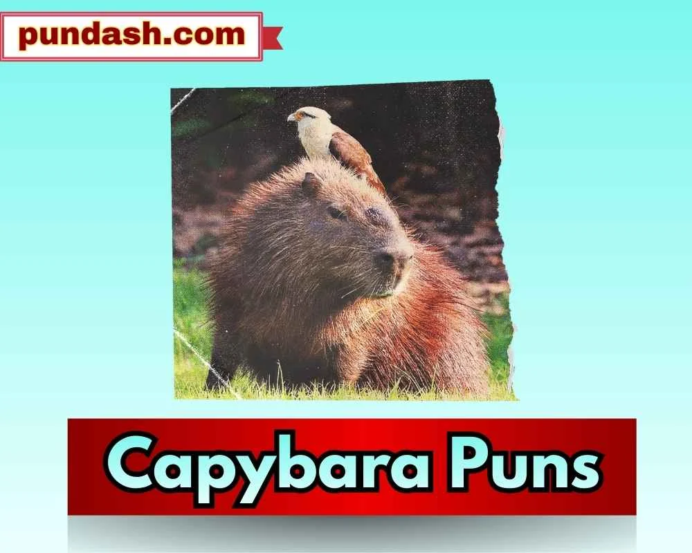 Capybara Puns