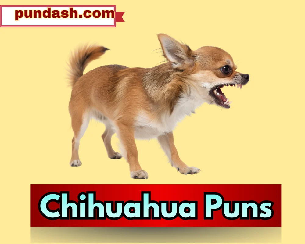 Chihuahua Puns