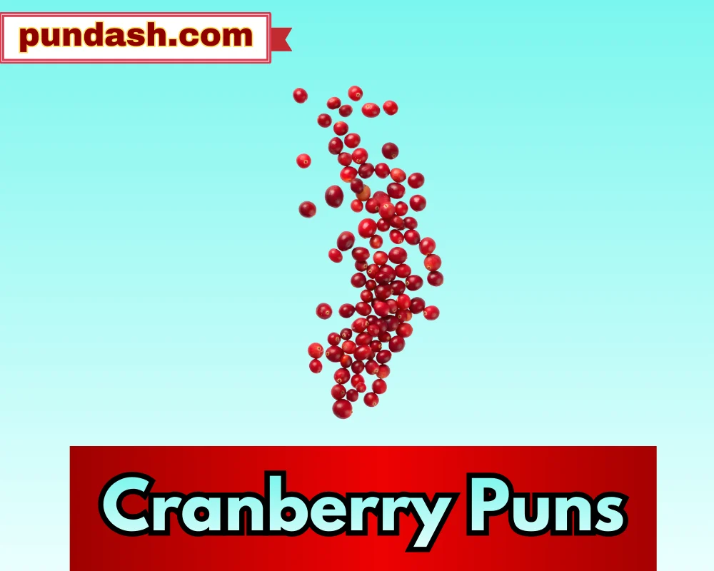 Cranberry Puns