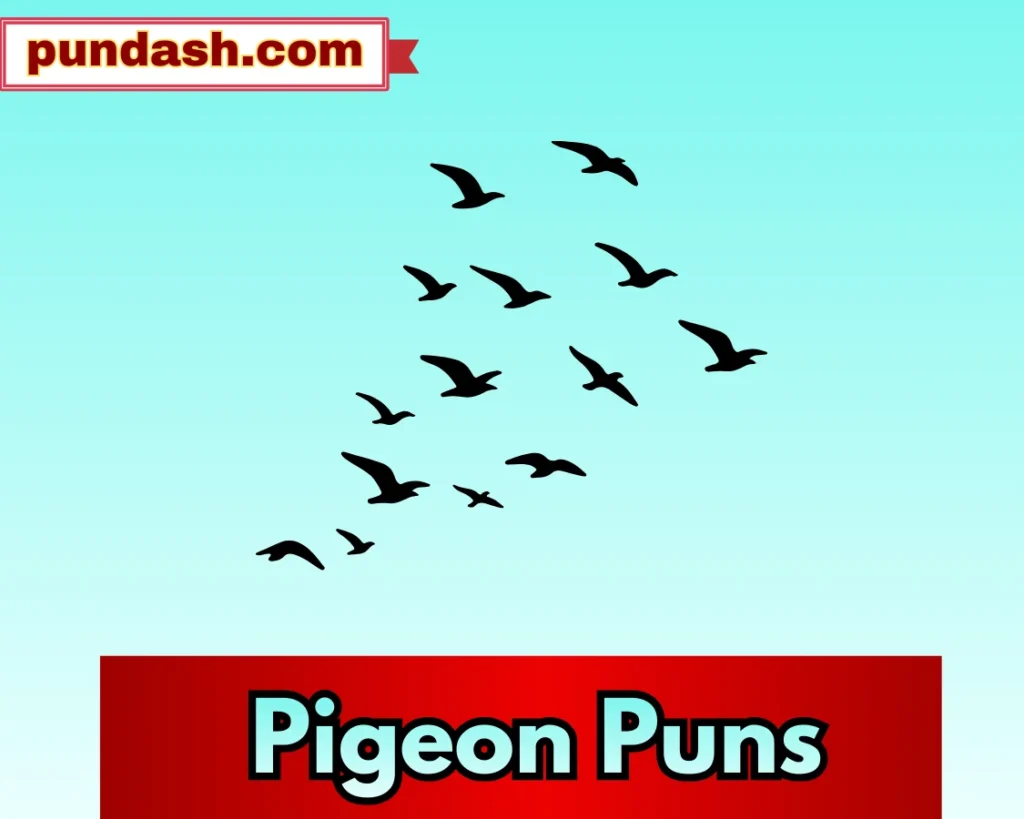 Pigeon Puns