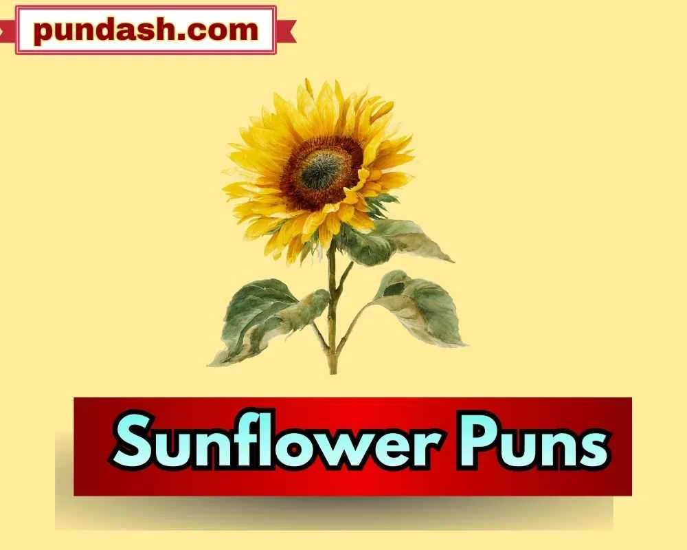 Sunflower Puns