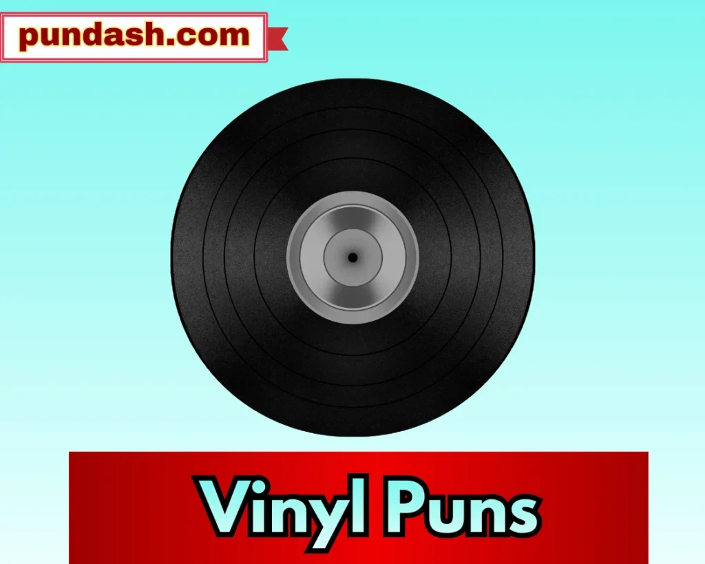 Vinyl Puns