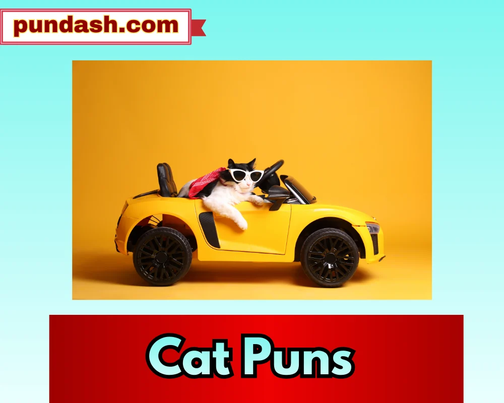 Cat Puns