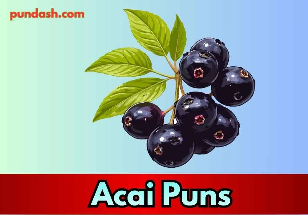 Acai Captions for Instagram 