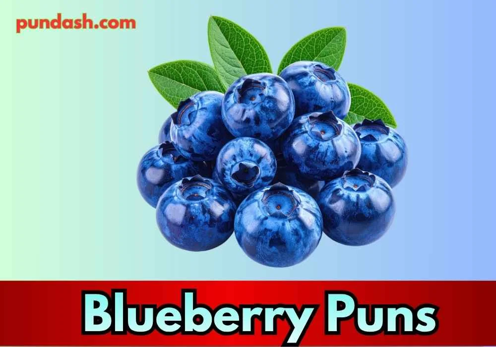 Amazing Blueberry Jokes for Kids 