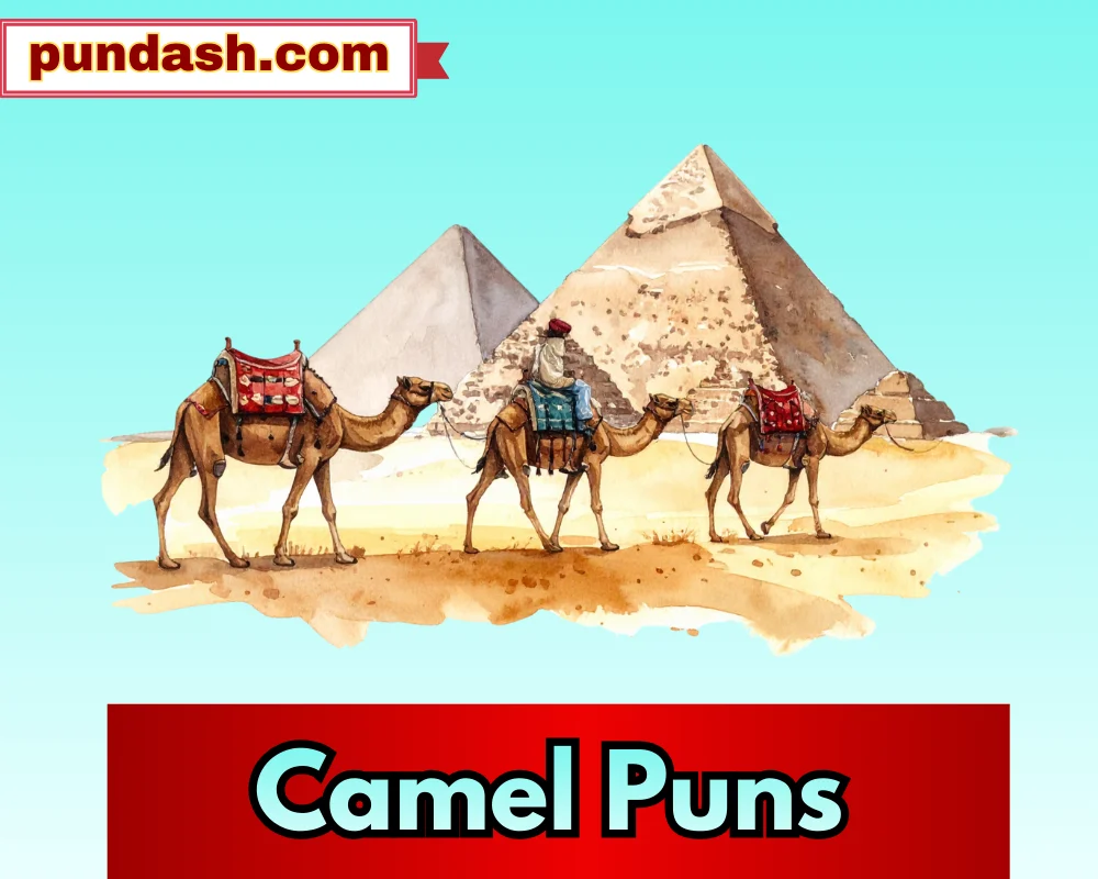Camel Puns