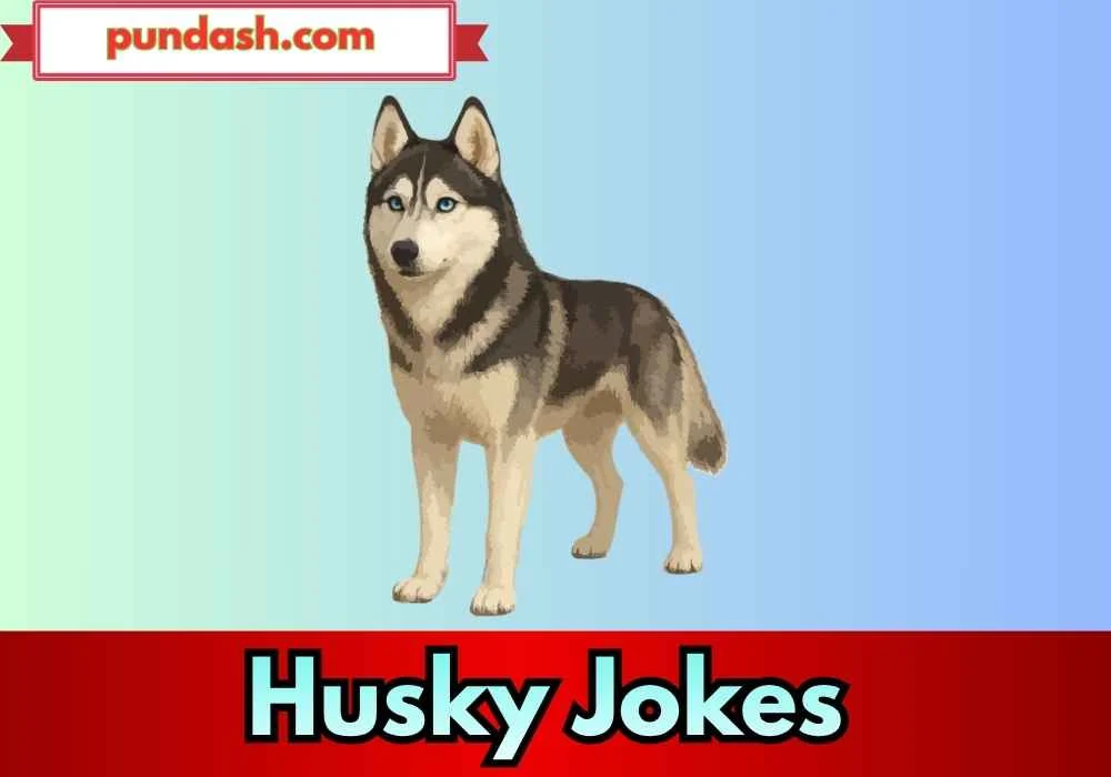 Charming Husky Jokes for Couples 