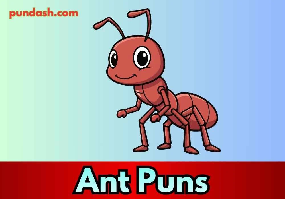 Colony Humor to Spark Smiles 