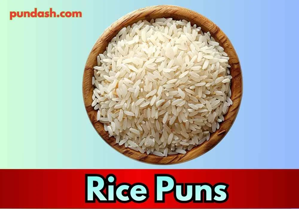 Comfort Rice Lines for Daily Use 