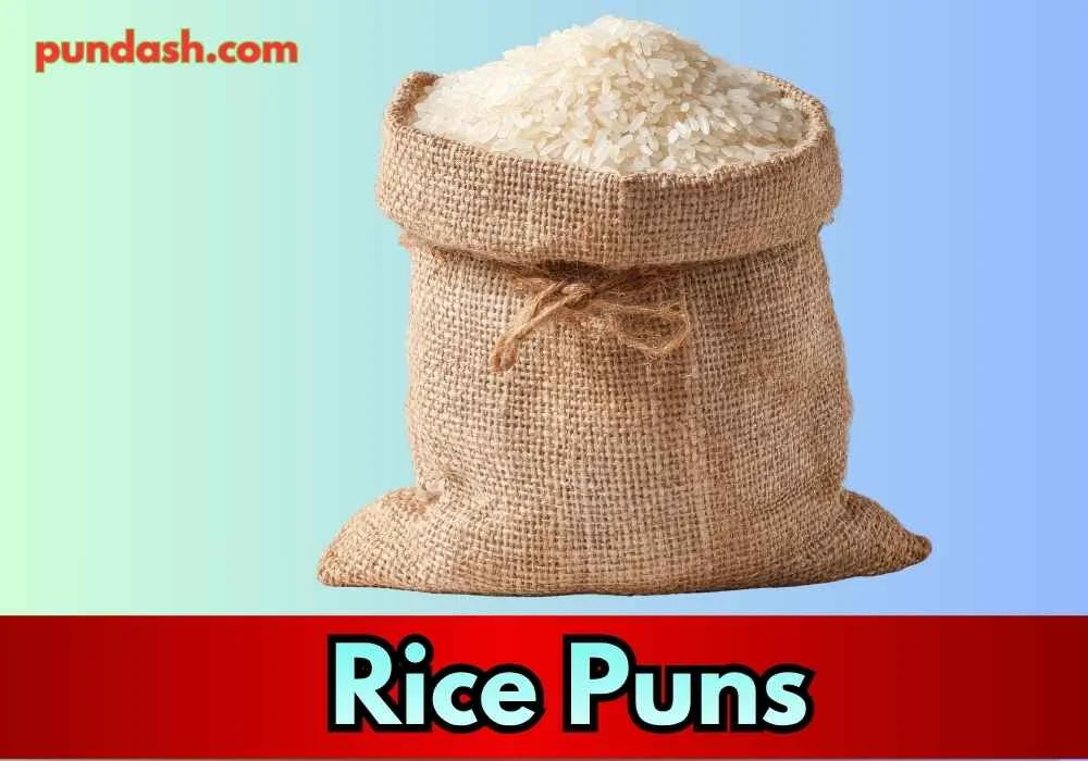 Flavor Loaded Rice Puns 