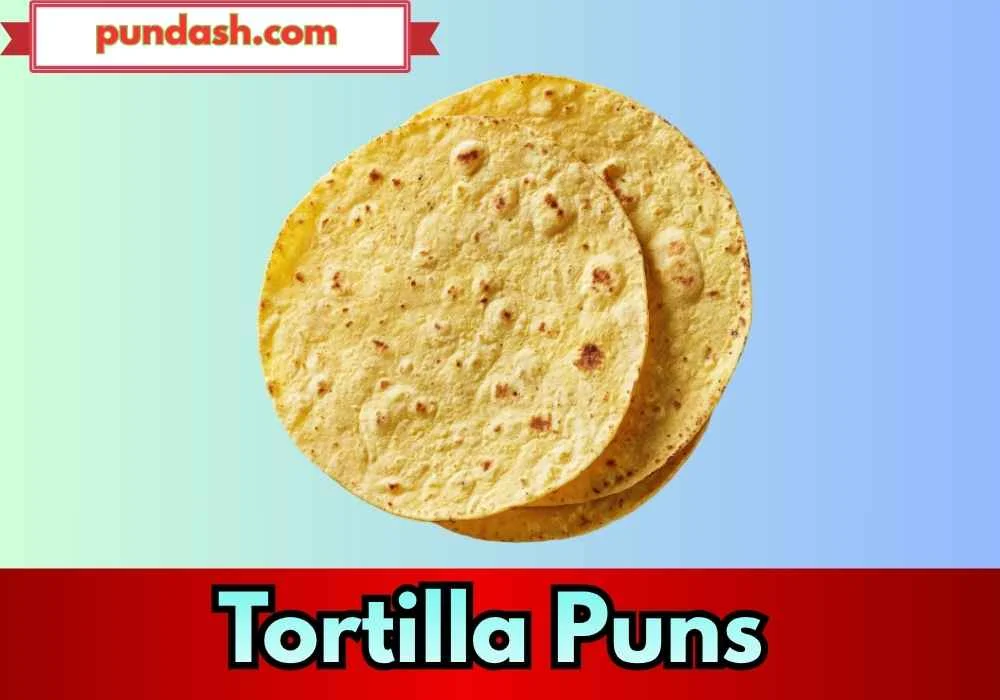 Funny Tortilla Jokes for Social Captions