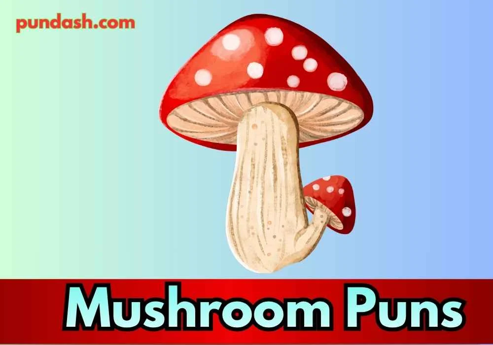Mushroom Puns for Humor Lovers