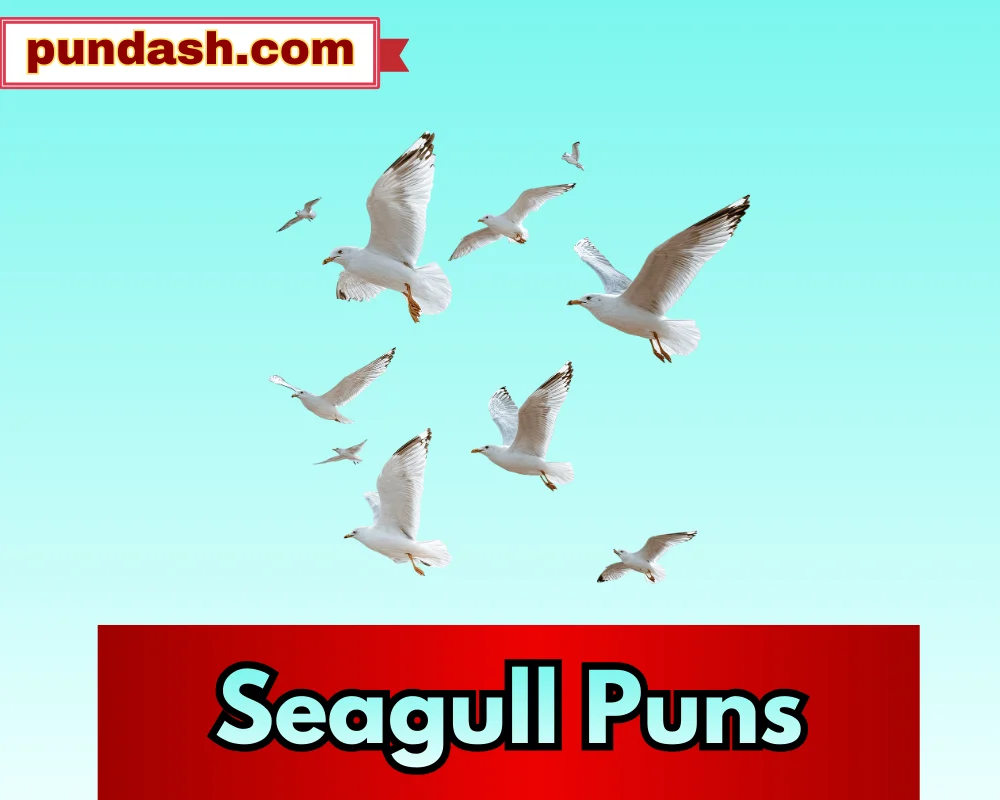 Seagull Puns