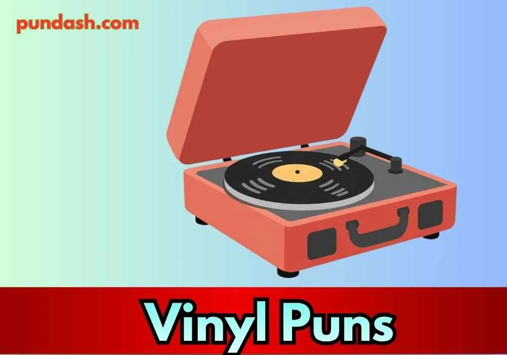 Short Vinyl Puns for Easy Captions