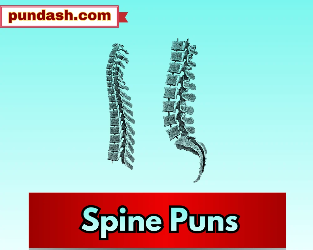 Spine Puns