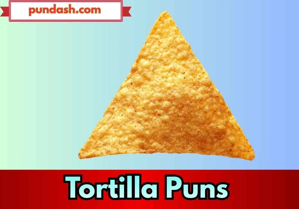 Tortilla Puns for Friends & Parties