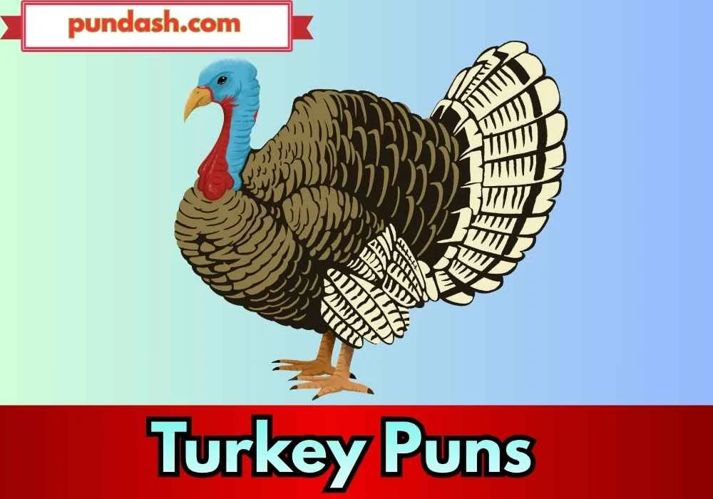 Turkey Humor For Social Media Posts