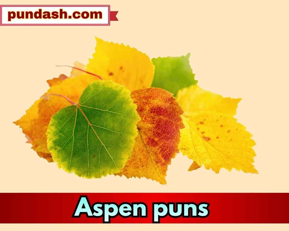 Aspen humor for cards and gifts