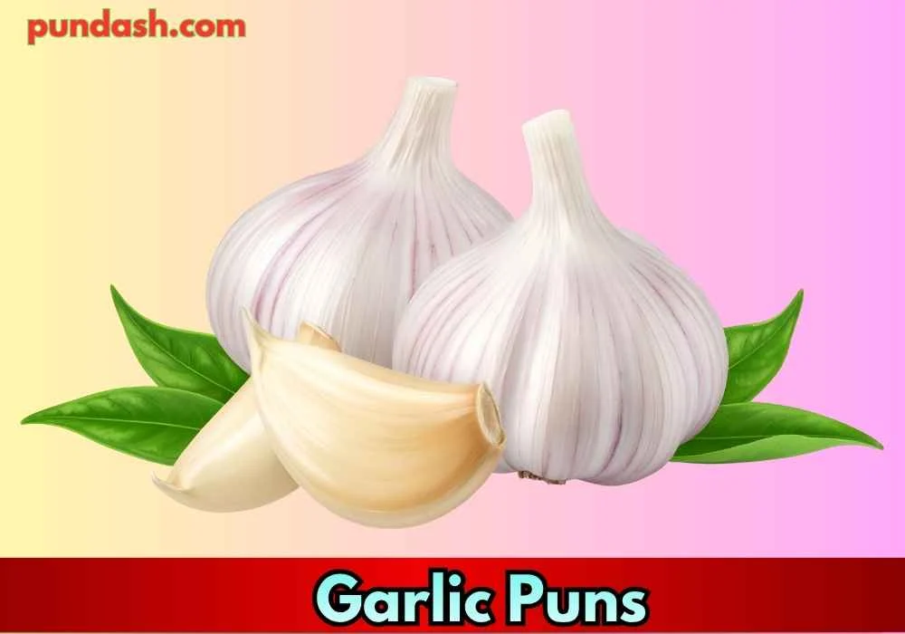 Best Picks: Top Garlic Puns to Start the Fun