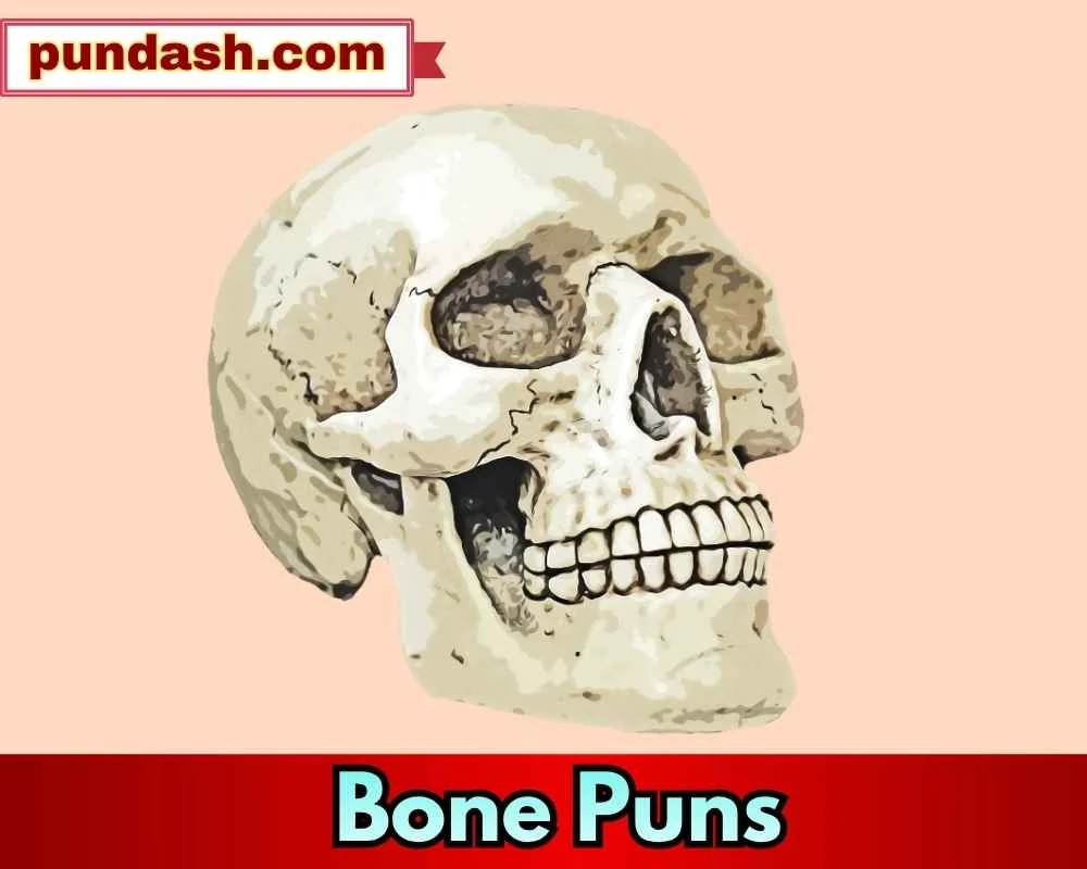 Bone Puns for Anatomy Lovers