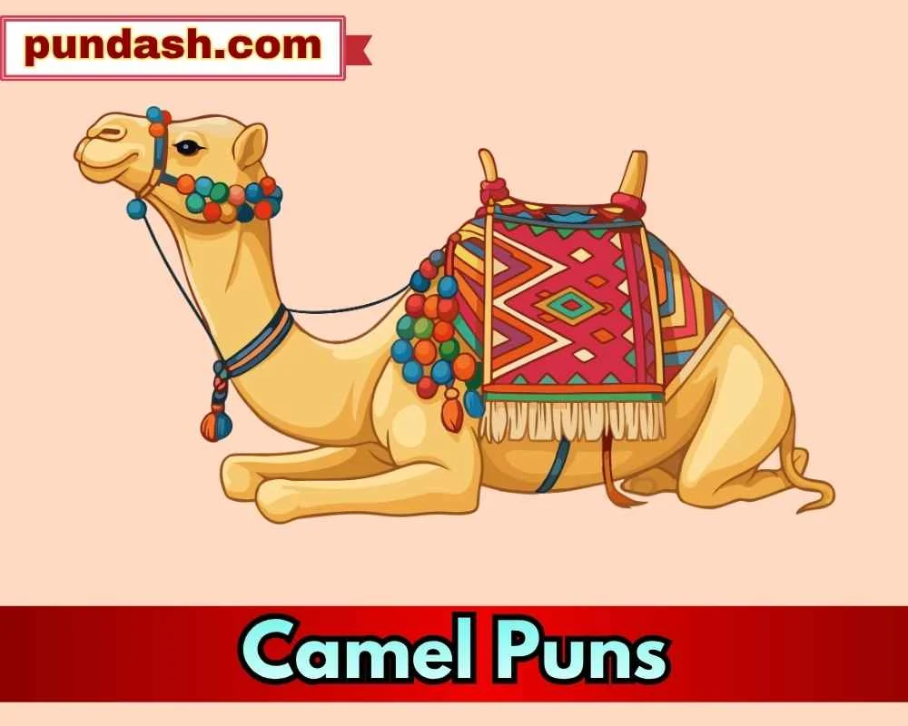 Camel Puns for Kids 