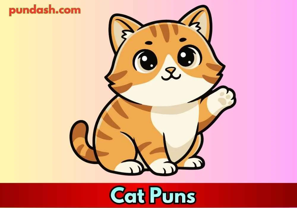Cat Puns for Sleep & Relaxation 