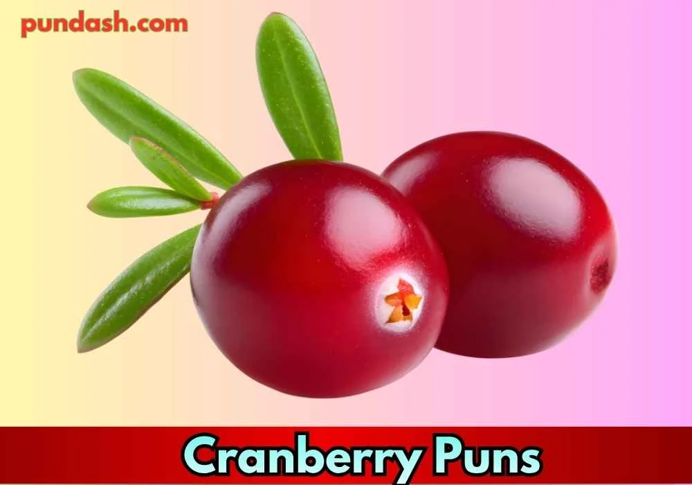 Cranberry Puns for Captions 