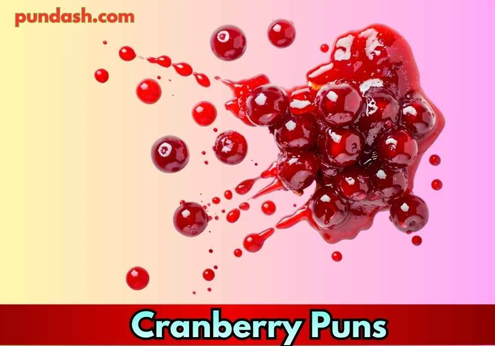 Cute Cranberry Puns for Winter 