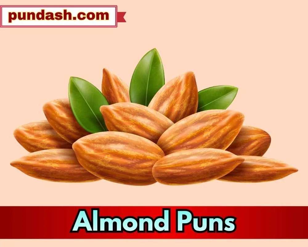 Funny Almond Puns for Instagram