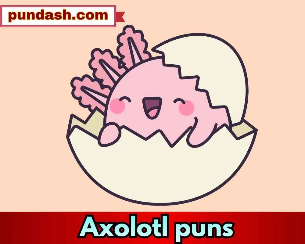 Funny axolotl jokes