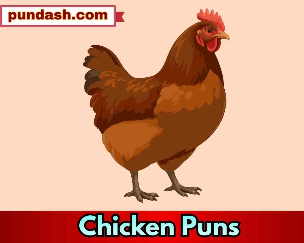 Funny Chicken Puns for Daily Laughs