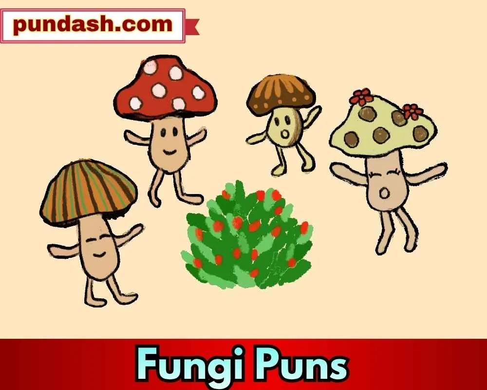 Greeting Fungi Puns For Fun