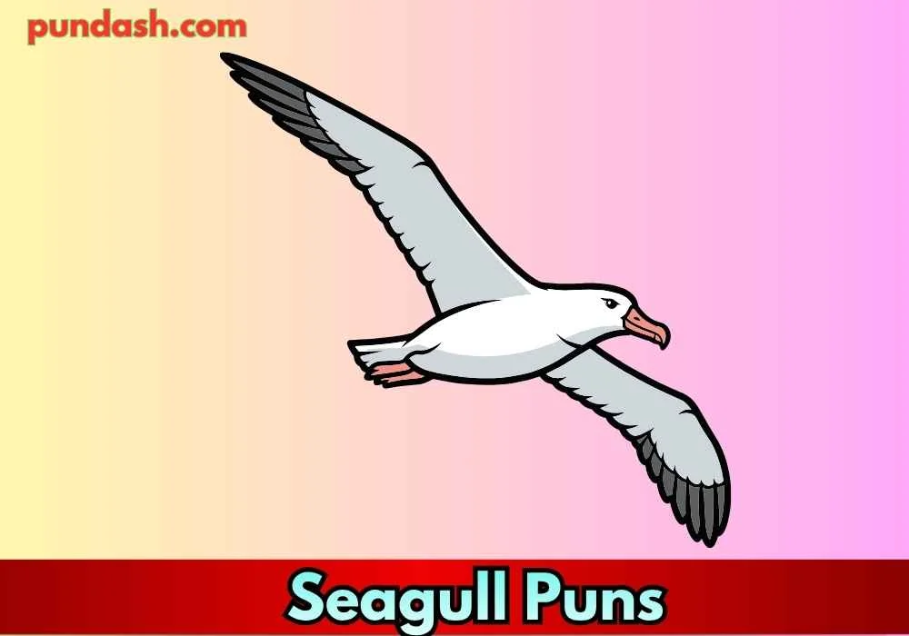High-Sea Seagull Puns