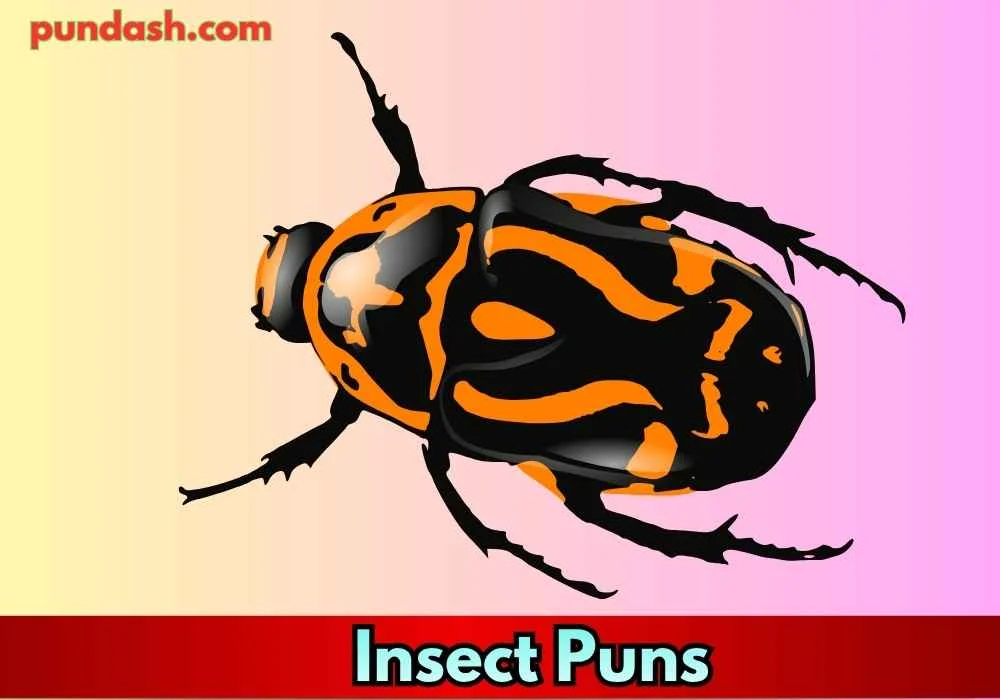 Hilarious Spider Puns