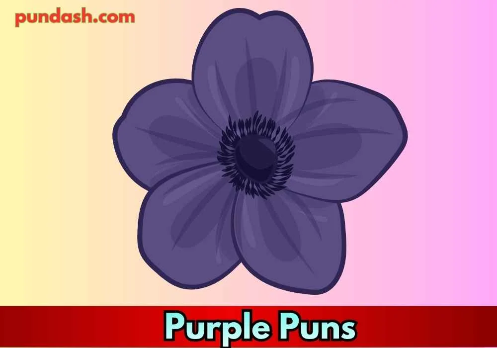 Lavender Laughs