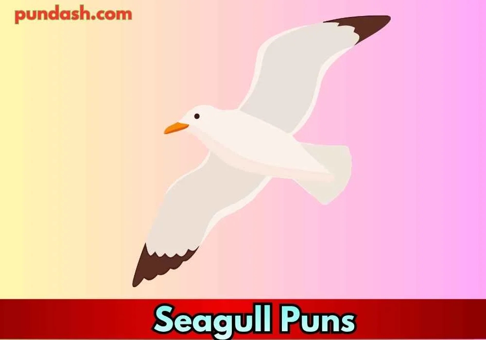 Love-Theme Seagull Puns