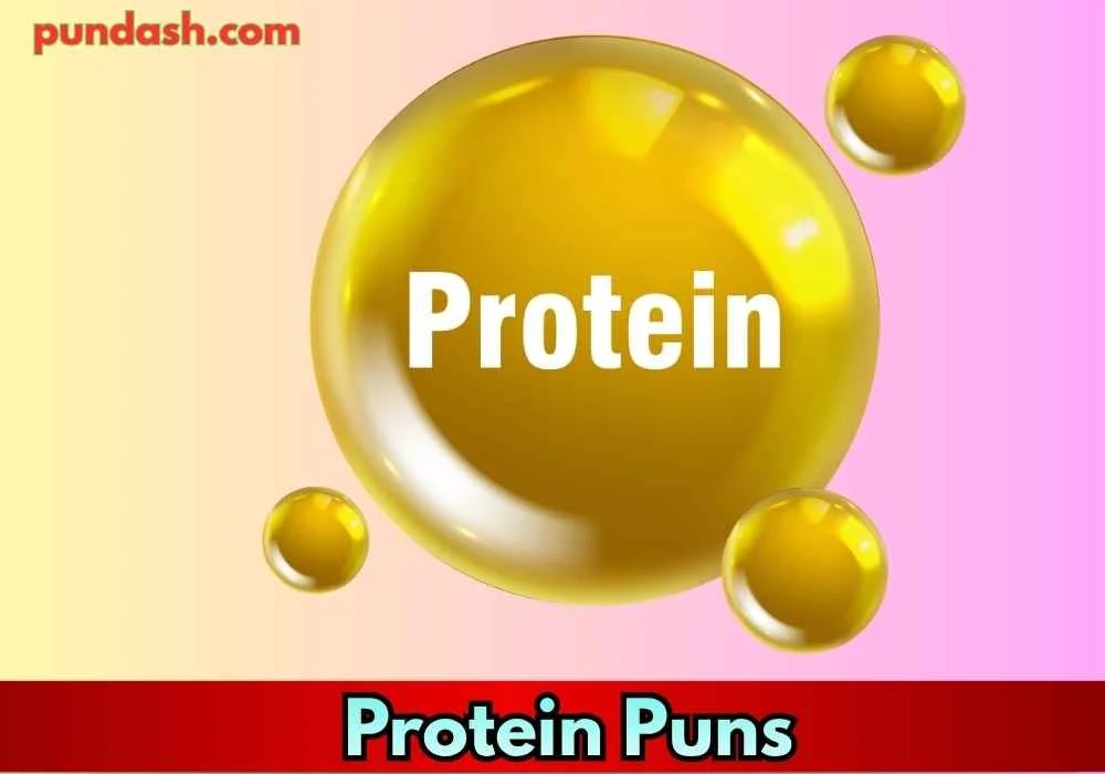 Plant Protein Puns