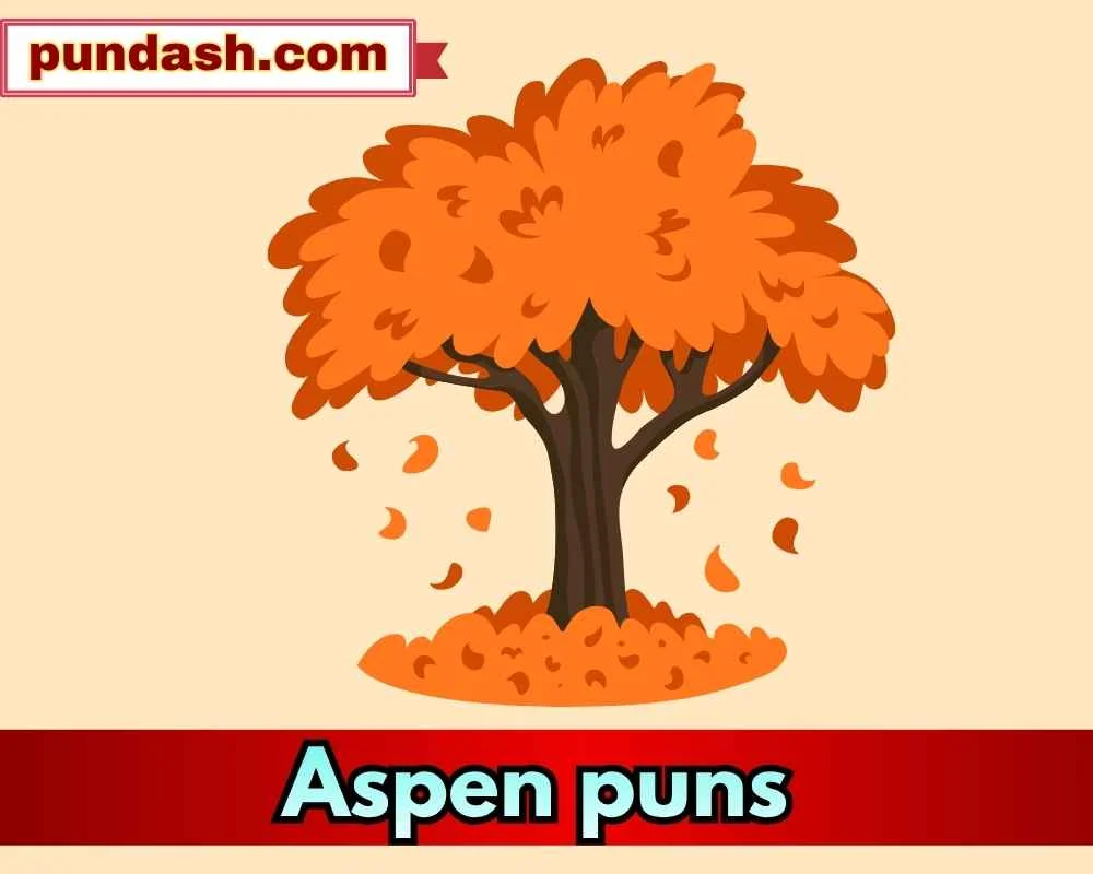 Real Aspen jokes for nature lovers