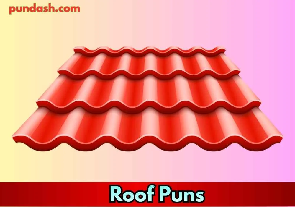 Roof Jokes for Social Media