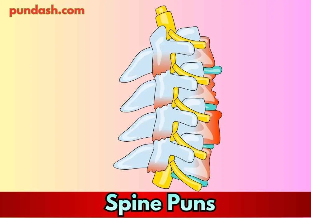 Spine Anatomy Puns for Easy Laughs 