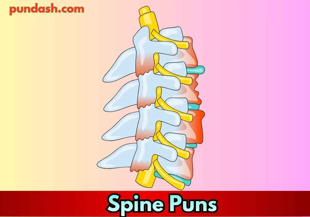 Spine Puns to Crack You Up
