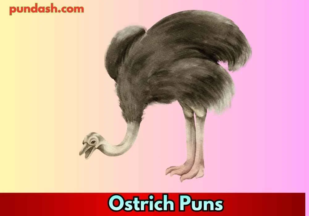 Animal Lover Ostrich Puns