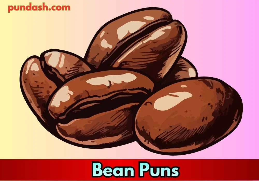 Best Bean Puns for Social Media