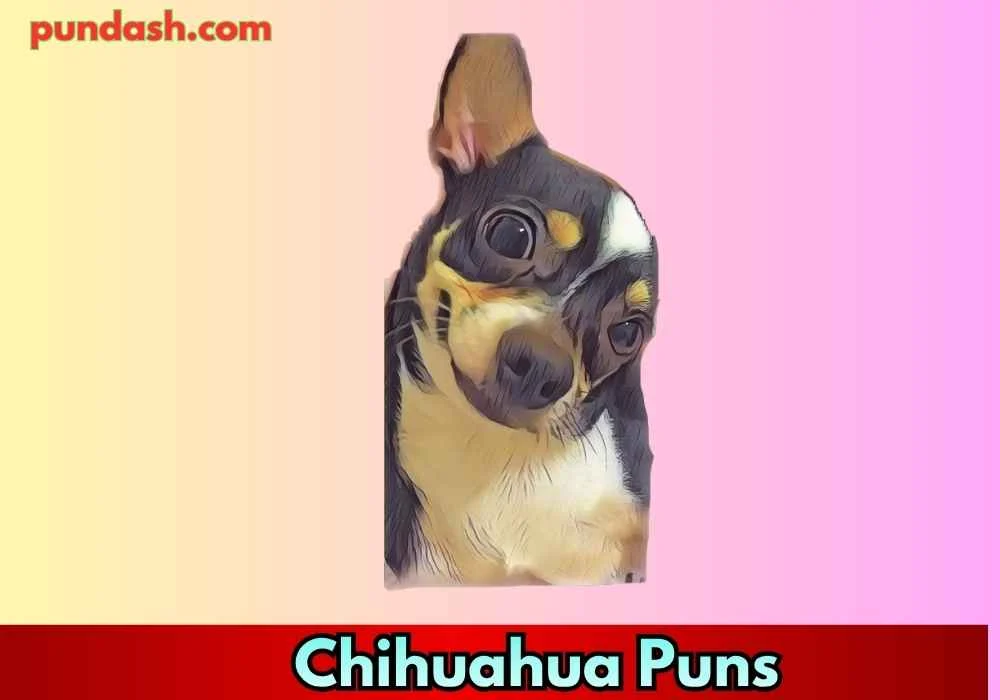 Chihuahua Fashion Puns