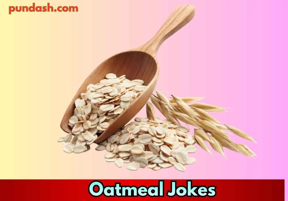 Classic Oatmeal Puns