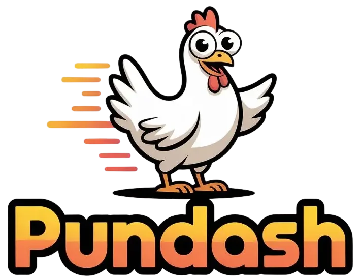 pundash.com