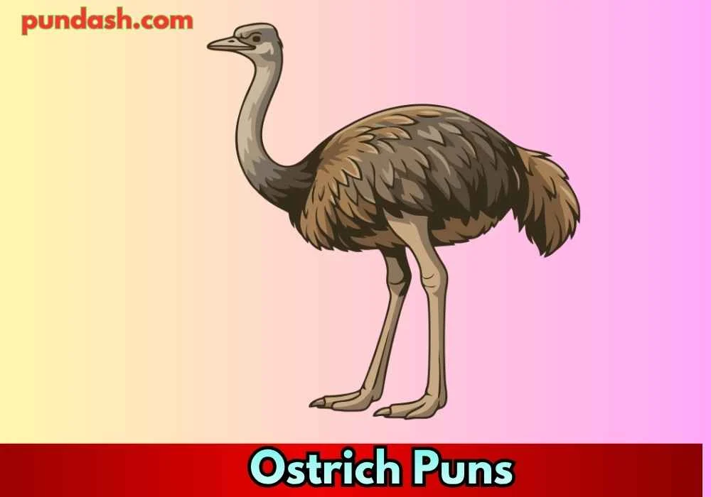 Funny Ostrich Puns for Instagram Captions